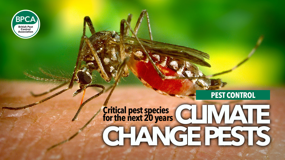 climate-change-pests-main climate-change-pests-main